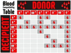 a negative blood type compatibility