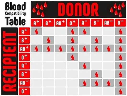 diego b negative blood type