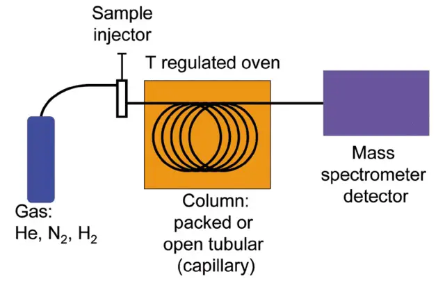 Gas Chromatography principle