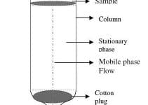 Ion Exchange chromatography| Principle, Method & Applications