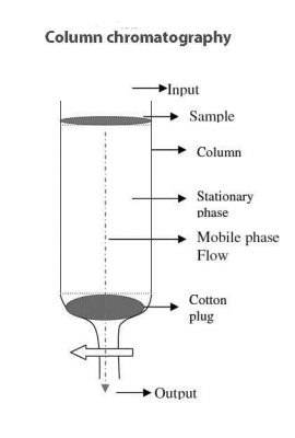 What is Column Chromatography ? A Beginners guide