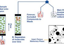 Ion Exchange chromatography| Principle, Method & Applications