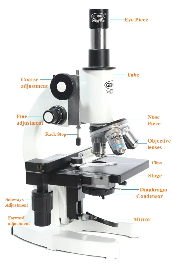 Pic Of Parts Of A Microscope