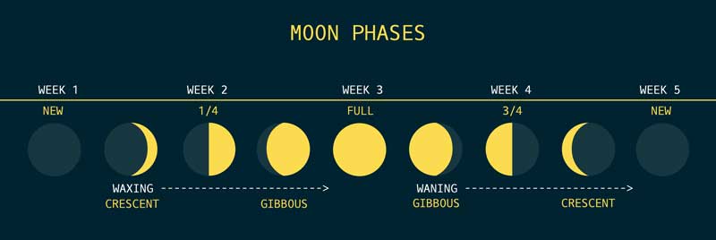 7 Phases of the Moon with Pictures and Differences exaplained