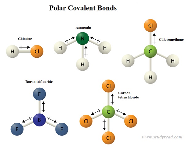 5-types-of-bonds-in-chemistry-with-examples-and-diagrams