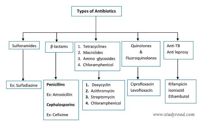 Antibiotics Classification | Their Definition, function & mechanism